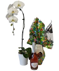 Easter Orchid Bundle