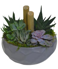 Grey Embossed Succulents