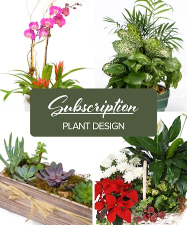 Plant Design - Monthly Subscription