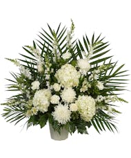 White Flowers - Tribute