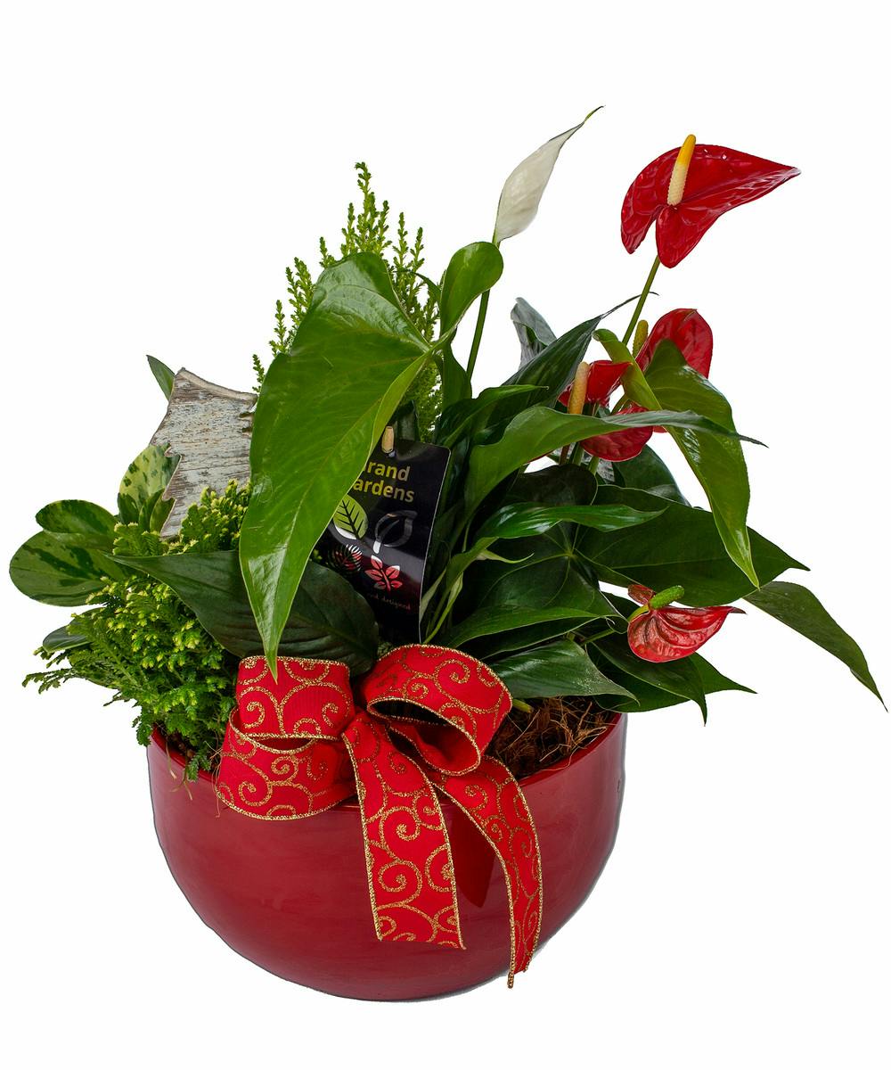 XL Christmas Planter Ital Florist, Toronto Canada