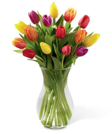 Mixed Colour Tulip Bouquet - Ital Florist Toronto